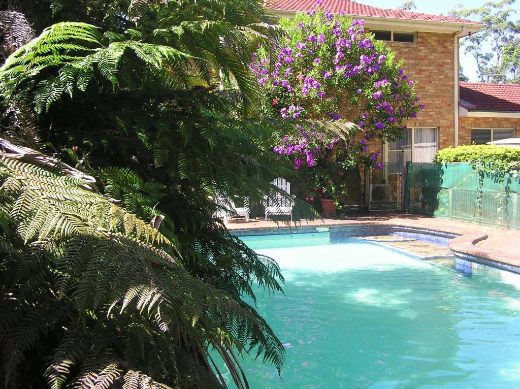 Sapphire Motel Korora Luaran gambar